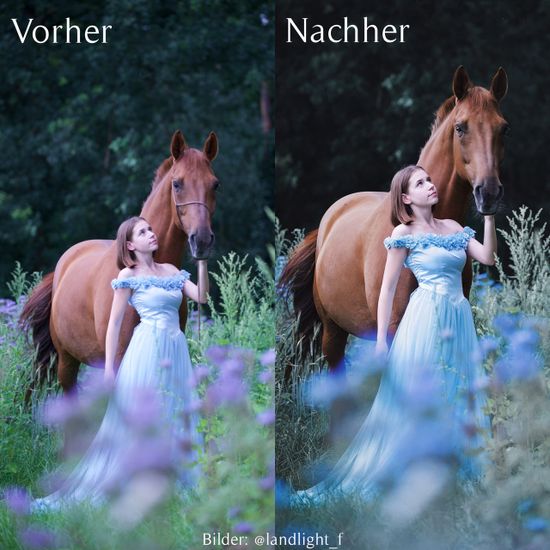 Fotografenhalfter vorher nachher Foto, Mädchen steht im Kleid vor dem Pferd